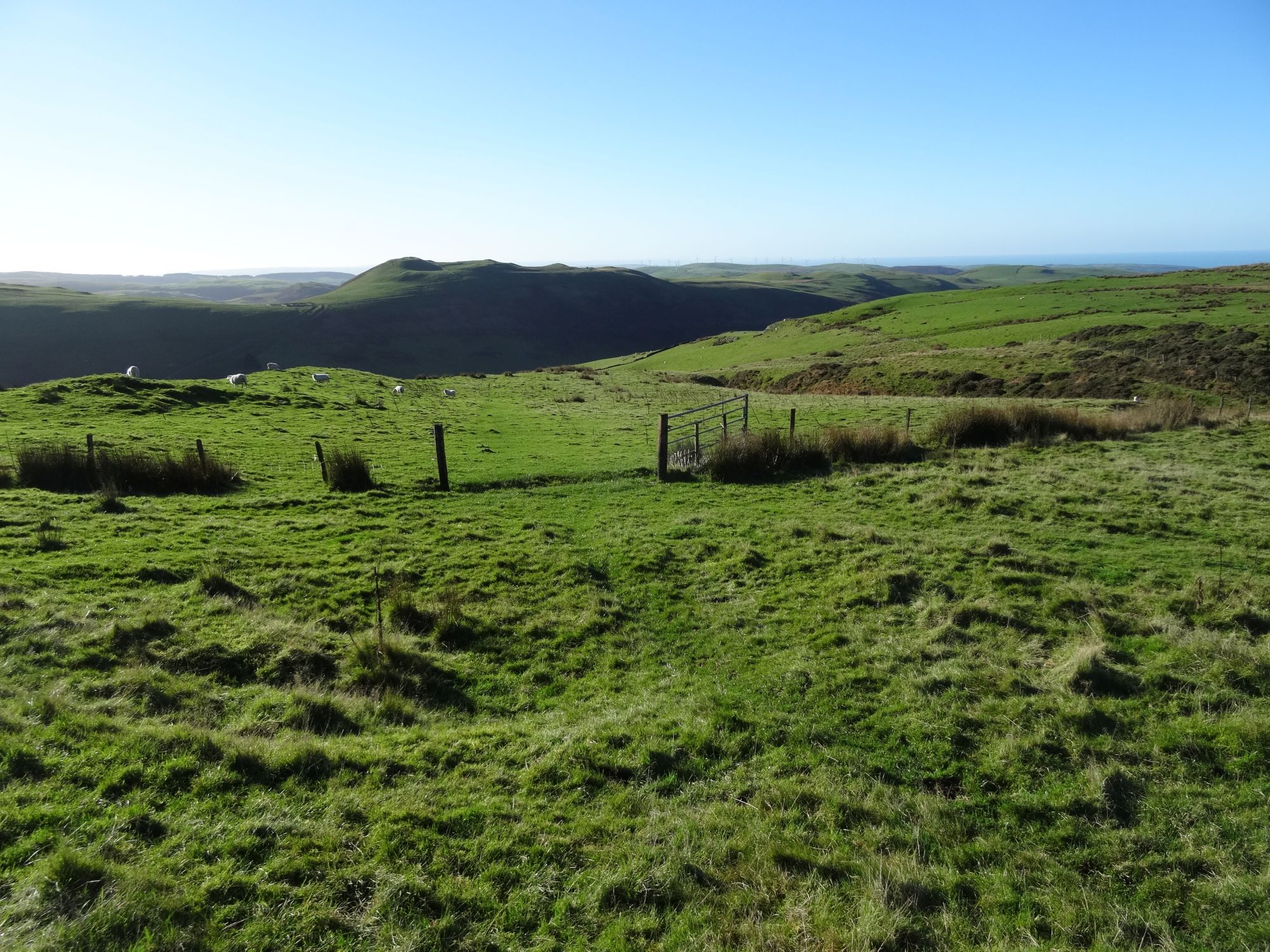 RachelSeabrook.net | Wild Walking | Moel y Llyn | pic10